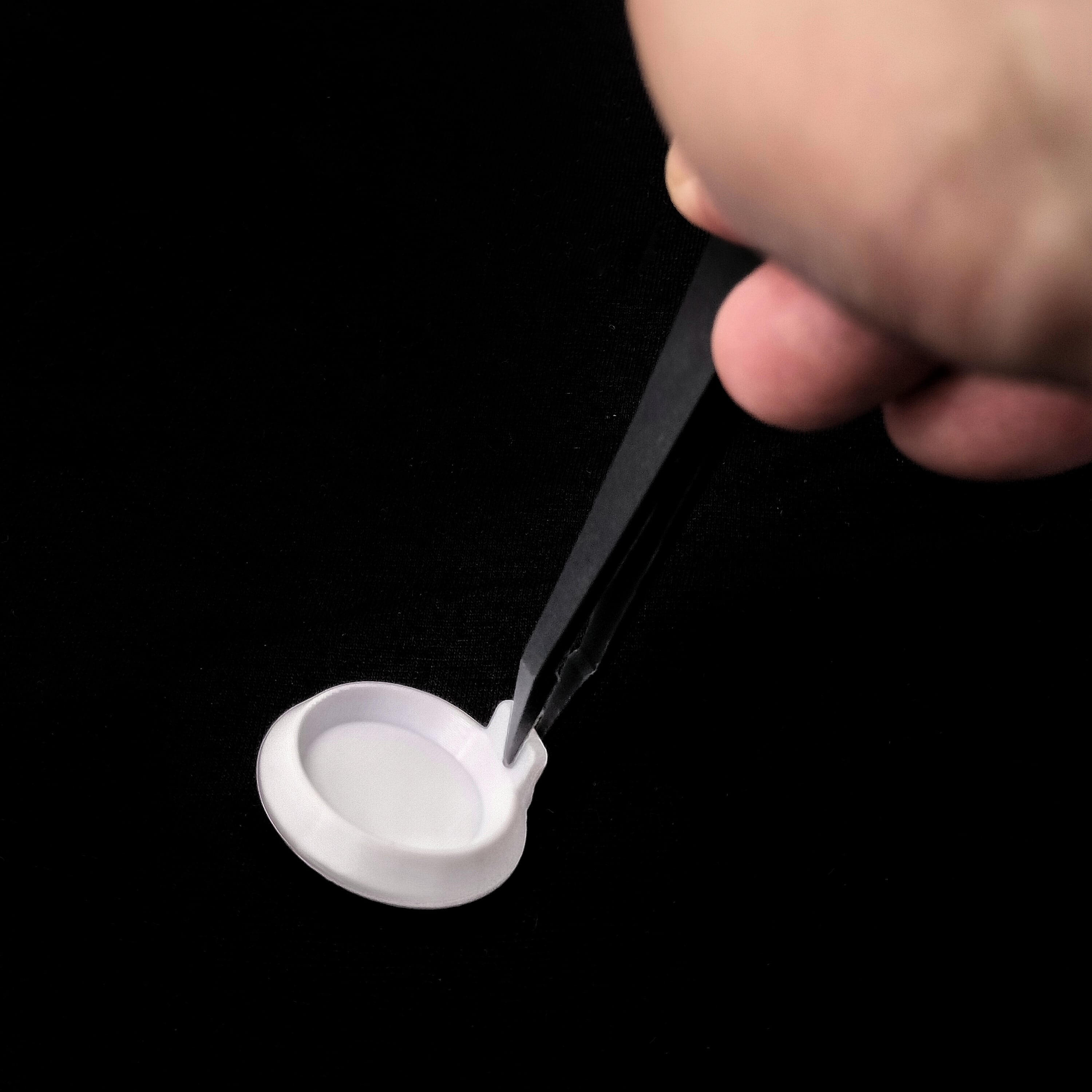 アリ飼育セット【初心者スターターキット】 | あり巣 in underground