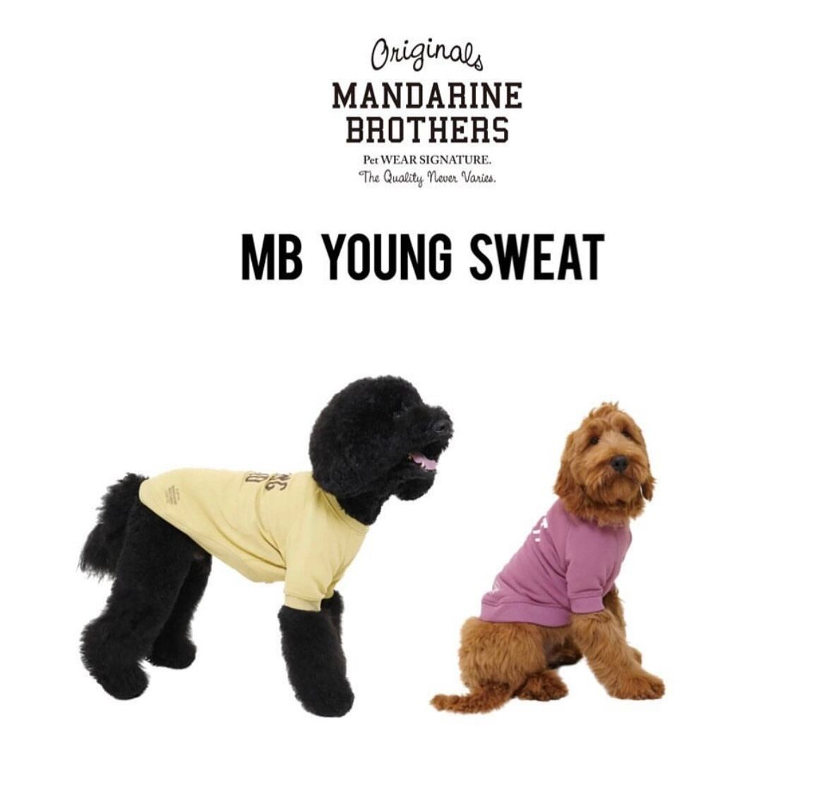 サイズ4L.5L【MB YOUNG SWEAT】犬服　大型犬　ドッグウェア　大型犬服　MANDARINE BROTHERS