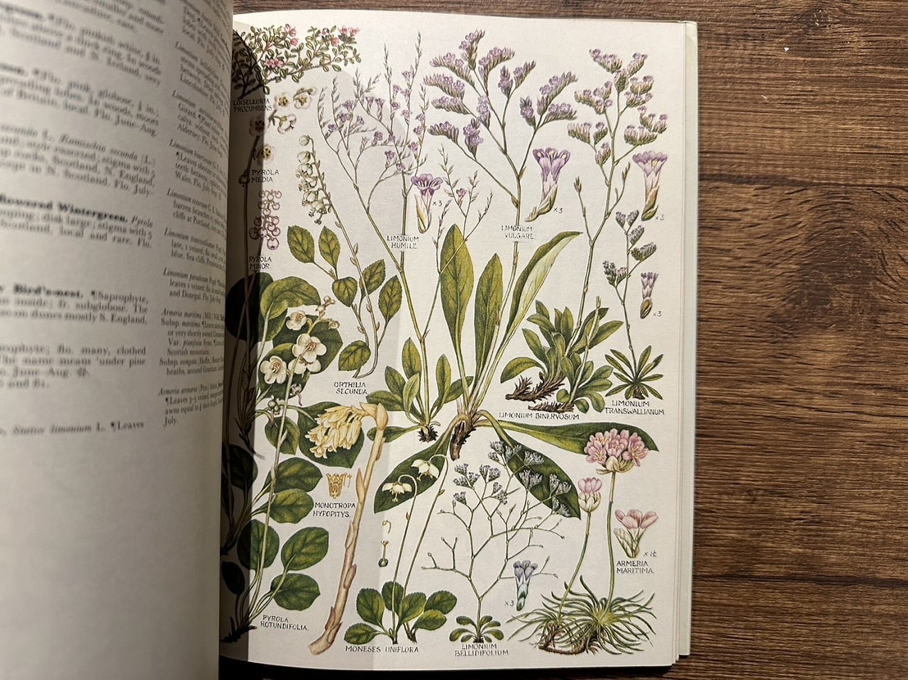 be174fed36e01033cfba180157dc05