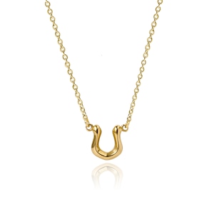 316L horseshoe necklace #N65