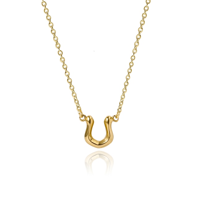 316L horseshoe necklace #N65