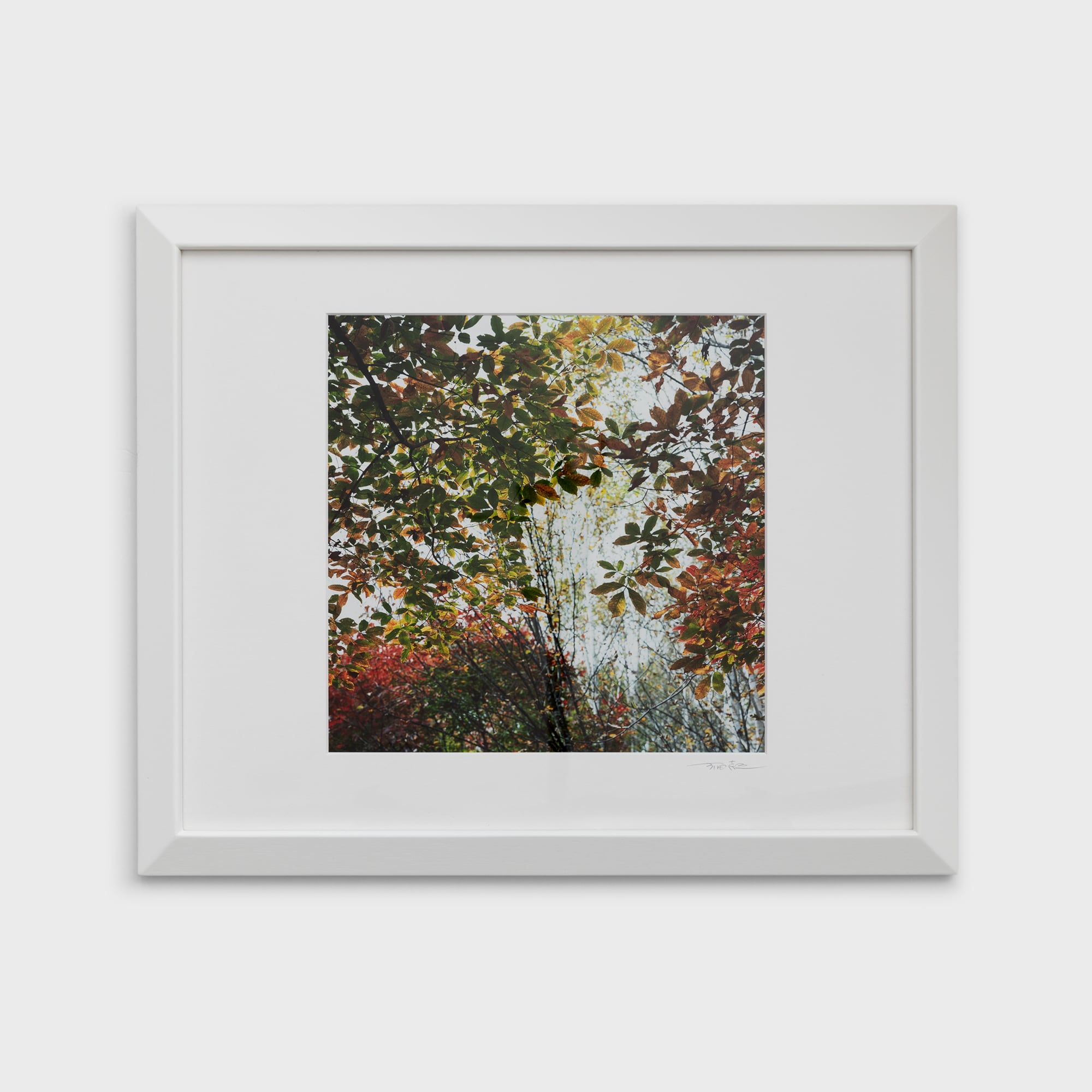 前田真三額装写真「絵模様」白木額〈展示品／直筆サイン入〉 | 拓真館