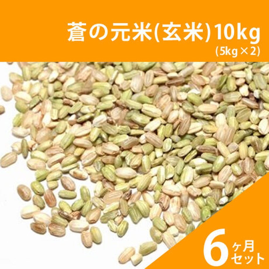 蒼の元米(玄米)10kg×6ヶ月セット（2ヶ月毎お届け）　tsuiteru