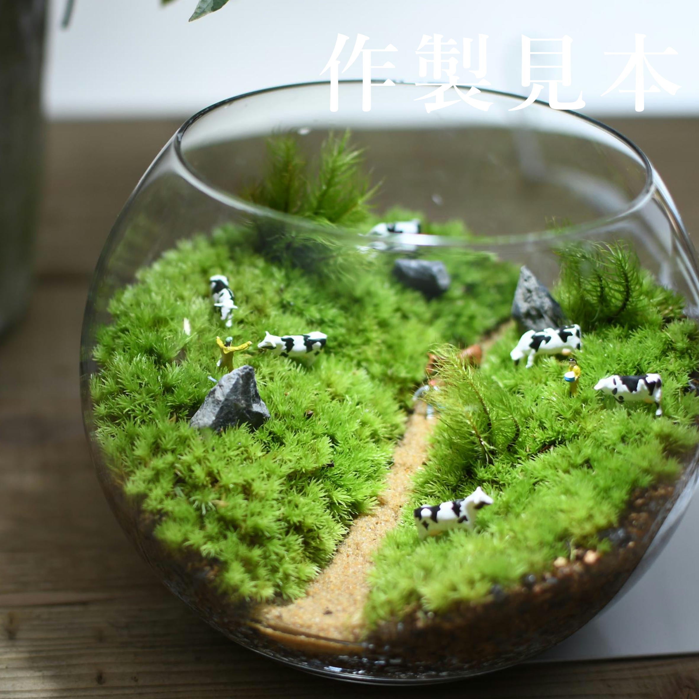 ガラス容器】インテリアボールL（口径100xh115mm） ◇適度な通気で