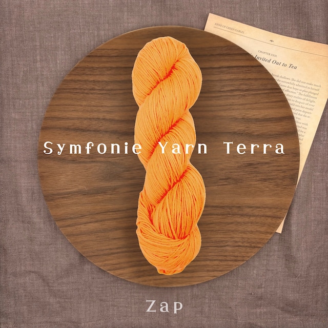 Symfonie Yarn 「Terra」- Zap- 手染めソックヤーン 中細 100g 400m 靴下編み 毛糸 ニットプロ
