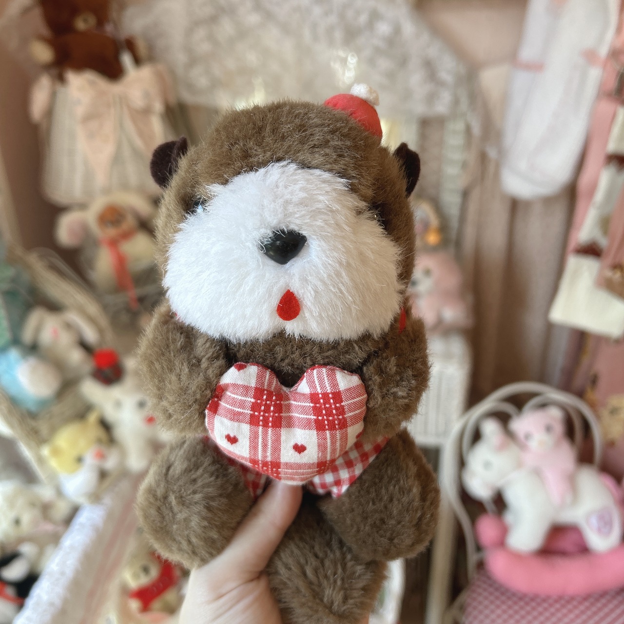 rakko 2setの画像07