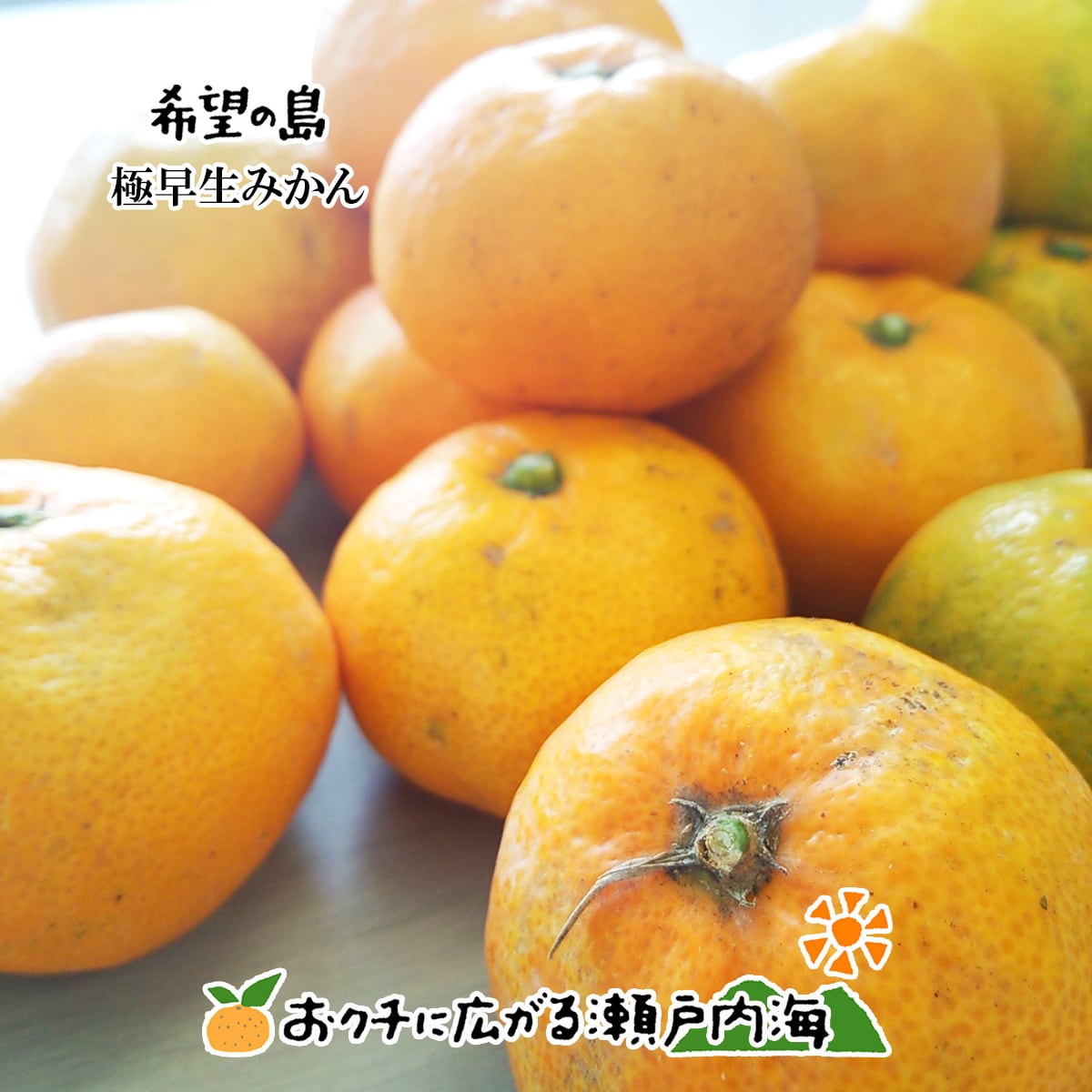 愛媛県産　極早生みかん　柑橘　5kg