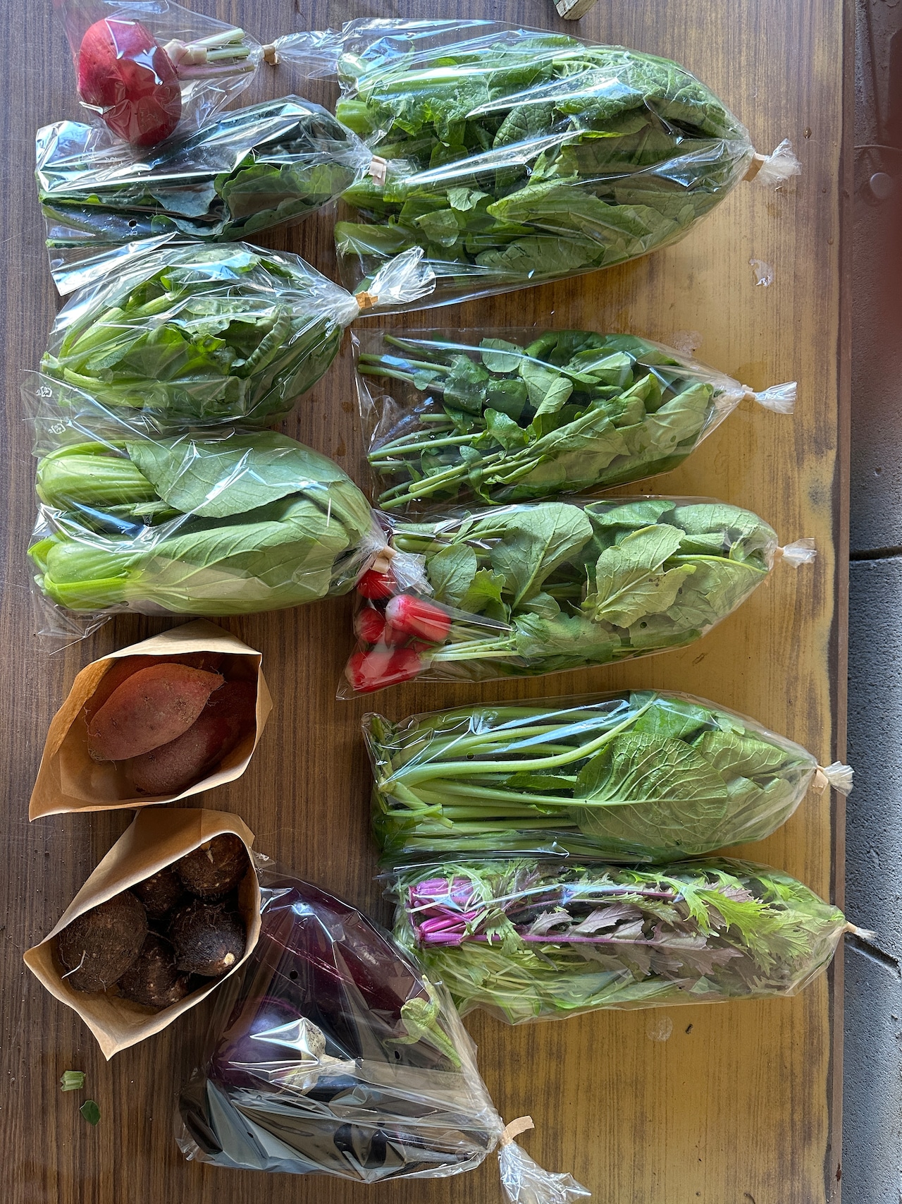 お得!3か月【定期便】キラピカ旬野菜/7~8品BOX【農薬化学肥料不使用】農の島*大三島*よりお届け!