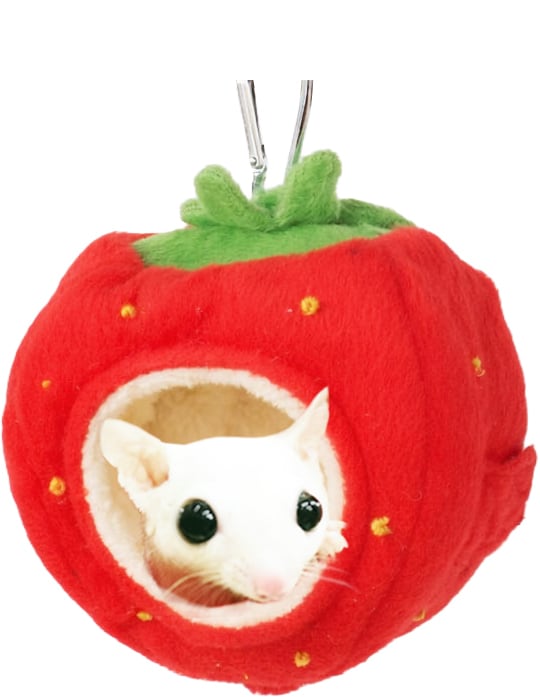 【小動物用品】もりもりフルーツポット 3点セット