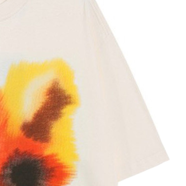 art graphic design short-sleeve tee　アートグラフィックデザイン半袖ティー　J2019