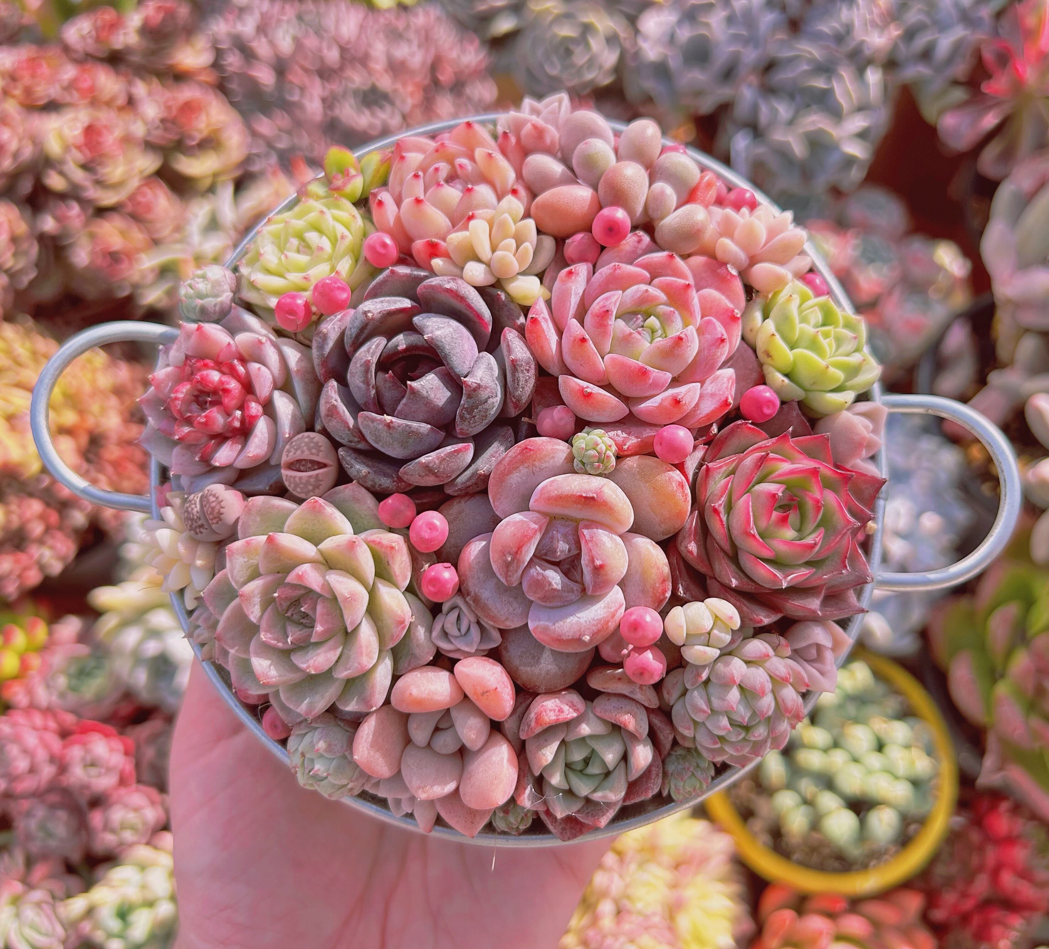 be291edc74a1dc447cadd58138c970 be291edc74a1dc447cadd58138c970