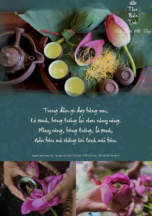 ベトナム伝統ハス花工藝茶
