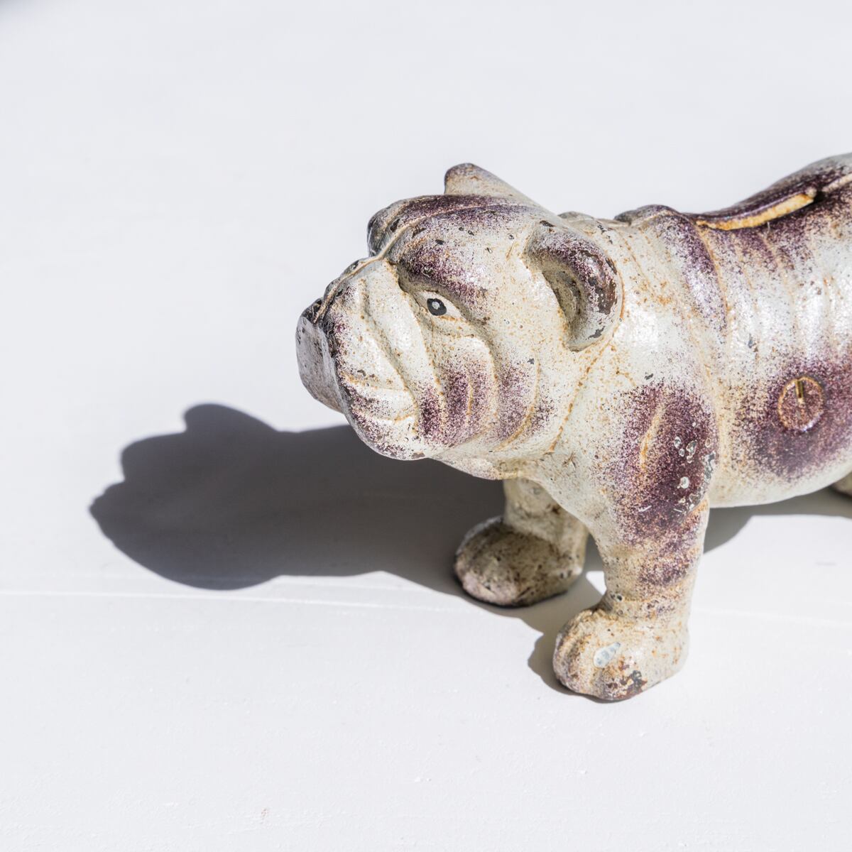 Bulldog Money Box