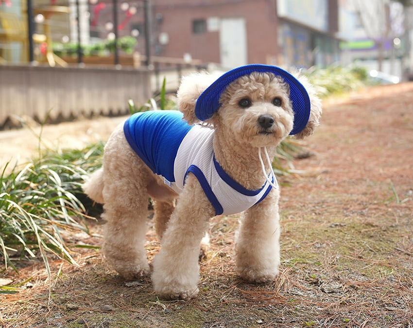 montain ranger cool mesh t-shirt set S ~ 2XL / 犬服 夏 新作 帽子セット 冷感 トップス タンクトップ 可愛い 犬の服 ドッグウェア クール 暑さ対策 ワンコ服 小型犬 中型犬 top153
