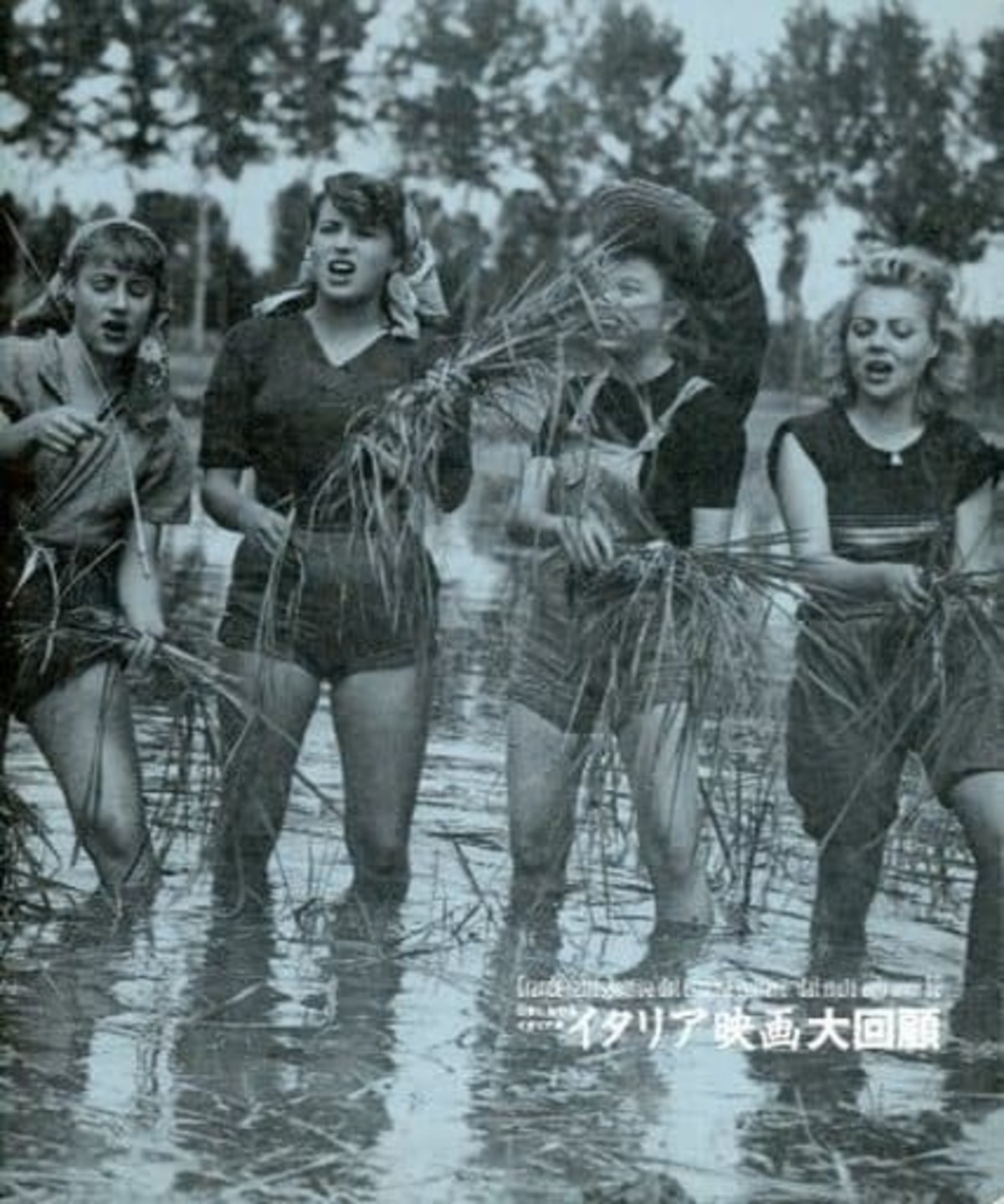 図録 日本におけるイタリア年 イタリア映画大回顧 2011 | zassho-bowbow