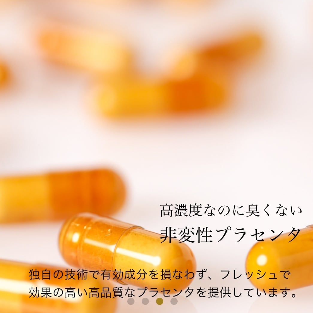 非変性 生プラセンタ ND-S 120カプセル入り 送料無料! | stcecilia 非変性 生プラセンタ ND-S 120カプセル入り 送料無料! | stcecilia