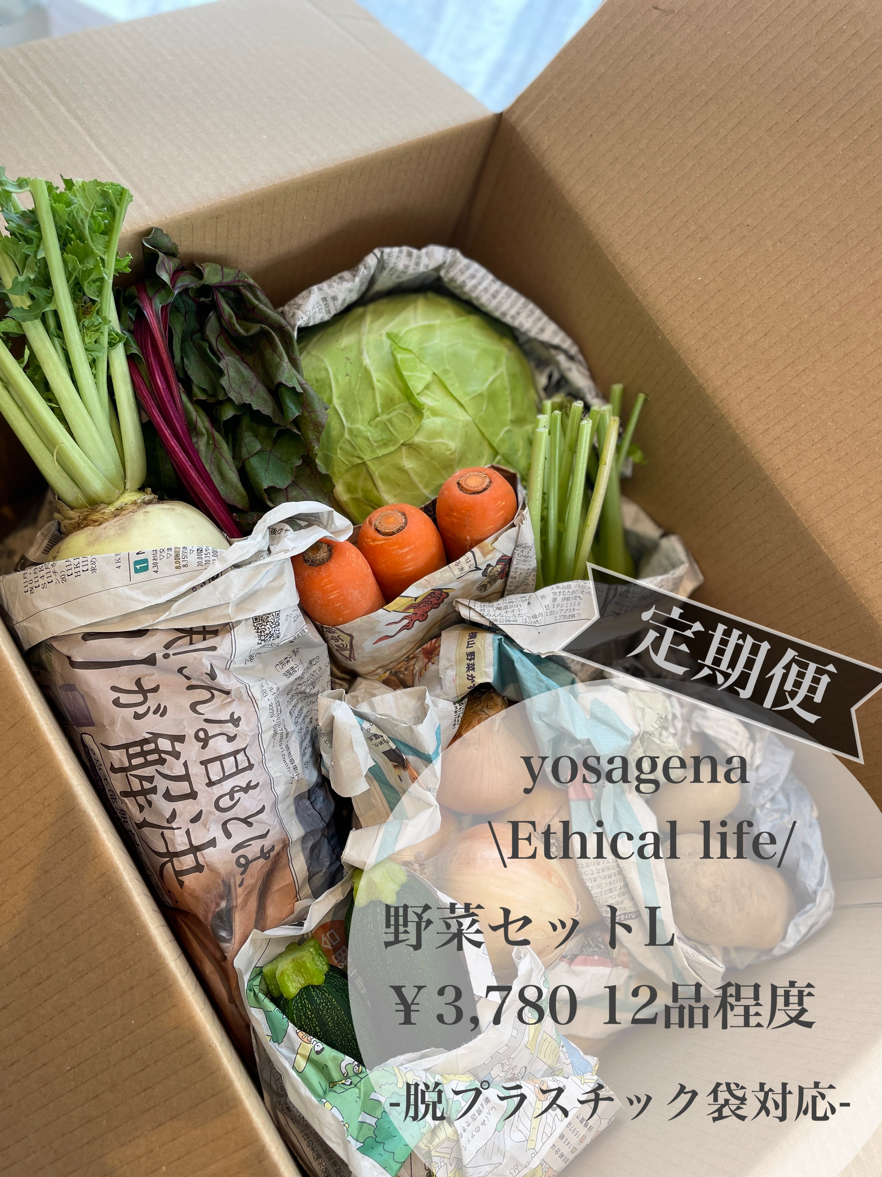 脱プラ袋対応・無農薬野菜のお試しセット | 自然素材yosagena