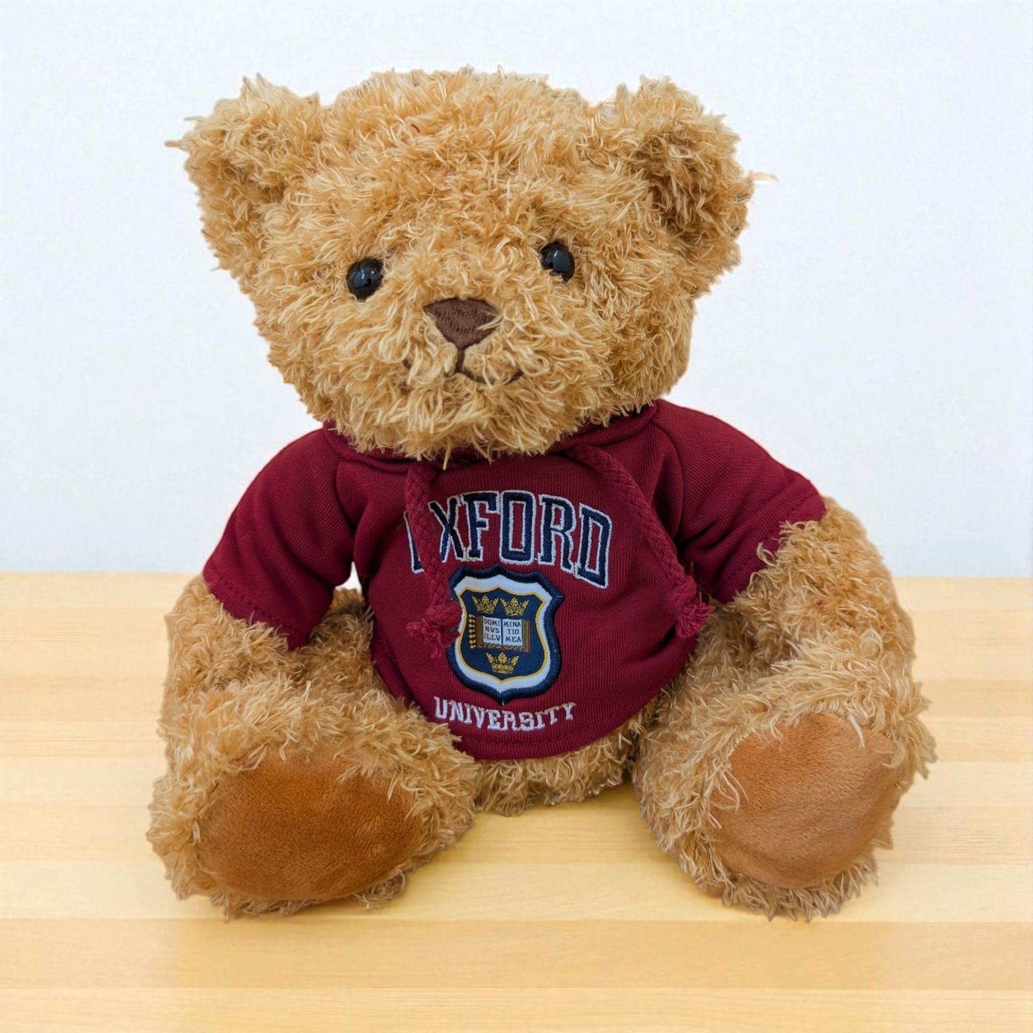レア☆入手困難☆英国王室御用達☆ハルシオンデイズ☆1993年イヤーオブテディ オックスフォード大学ベア REDパーカー Elgate Products 90406