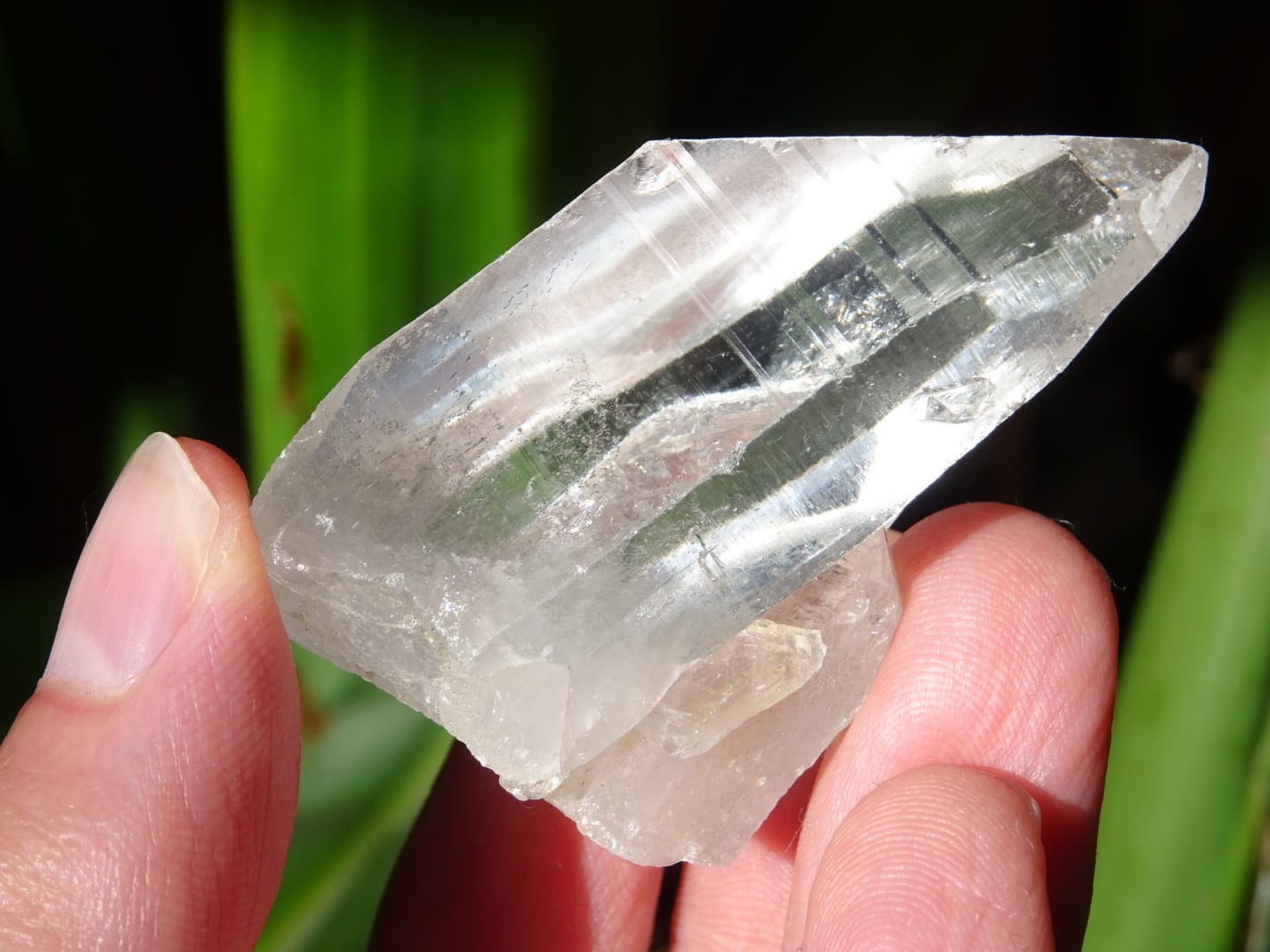 ラオスクォーツ」 ファミリークラスター、レコードキーパー＆セルフ