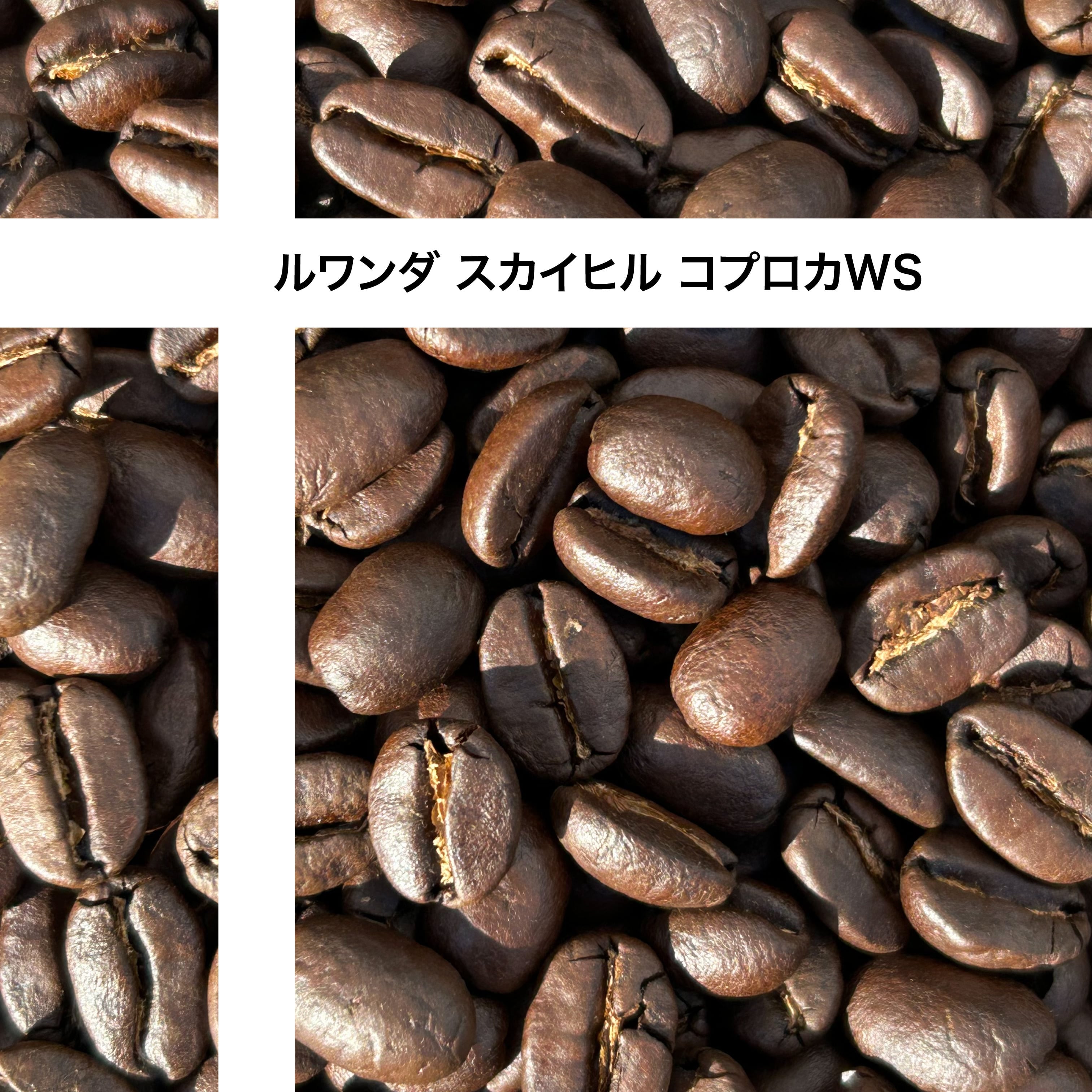 【ルワンダ】 スカイヒル  コプロカWS ［1000g］中深煎り自家焙煎珈琲