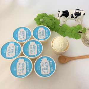 【牧場直送】ミルクアイスクリーム６個セット