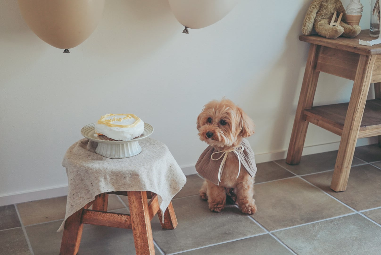 犬用 スタイ】お祝いに 小物 / ドッグウェア 犬服 ハンドメイド ガーゼ