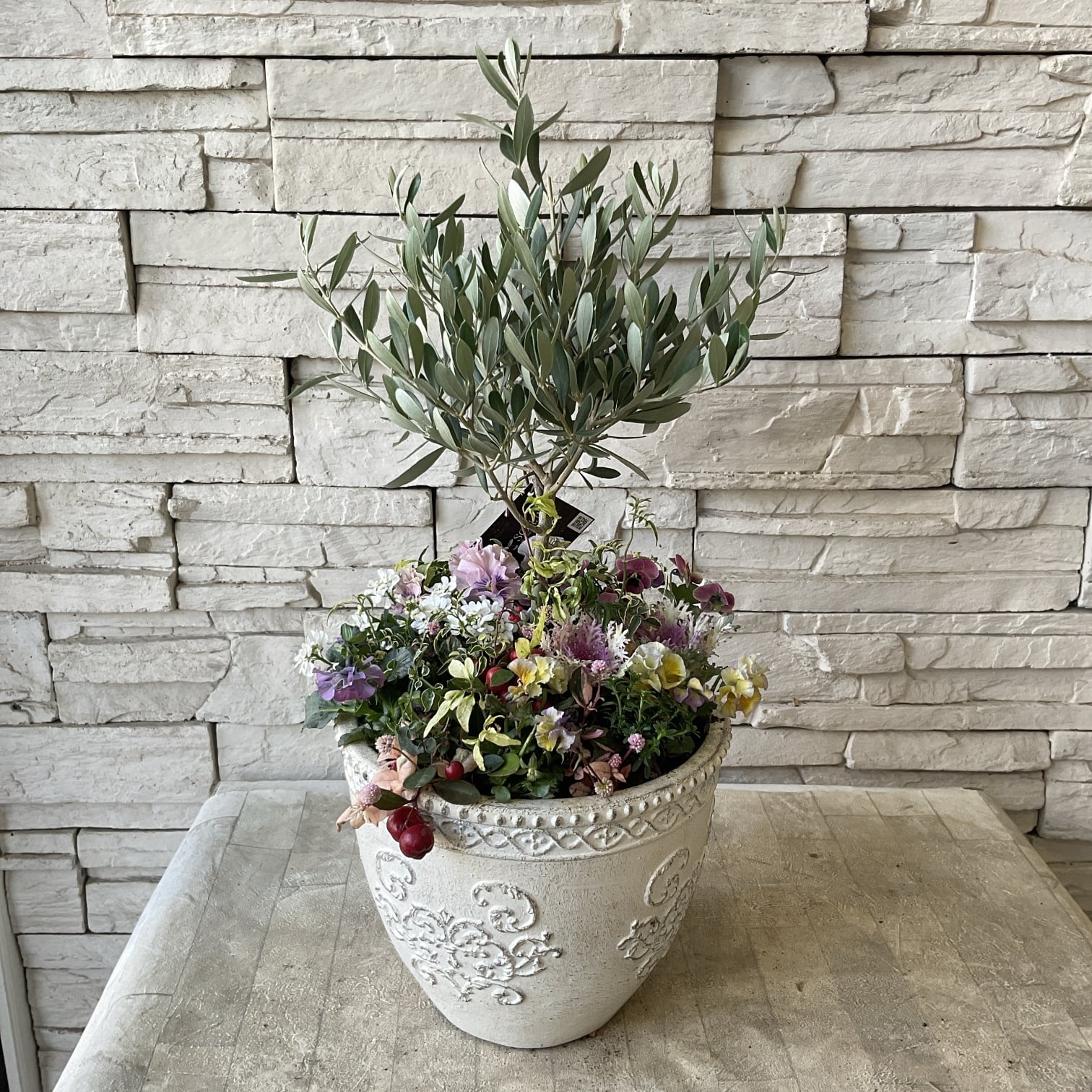 寄せ植え | 橋本種苗園