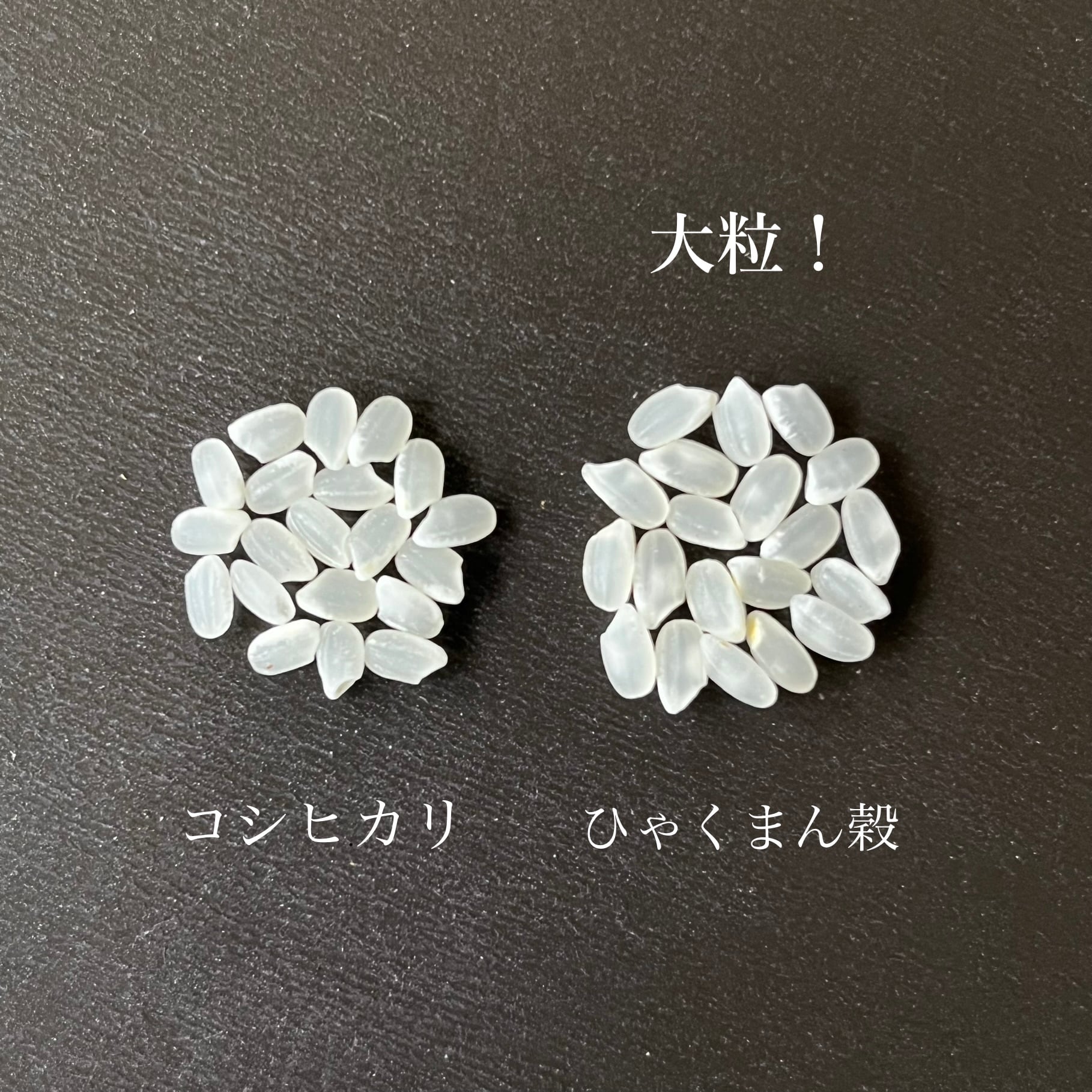 令和7年産 ひゃくまん穀 10kg | Kasanogou online shop