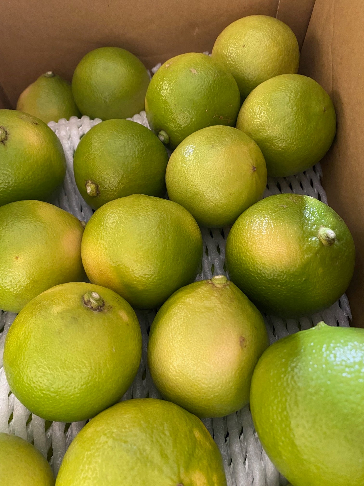 販売開始致し増した。R6年仕込み販致します。！ 「こだわりの国産