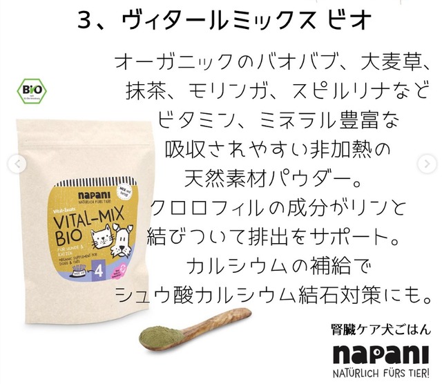 No-④（抗酸化）ヴィタールミックス BIO 100g 犬＆猫用　ビタミン・ミネラルサプリメント