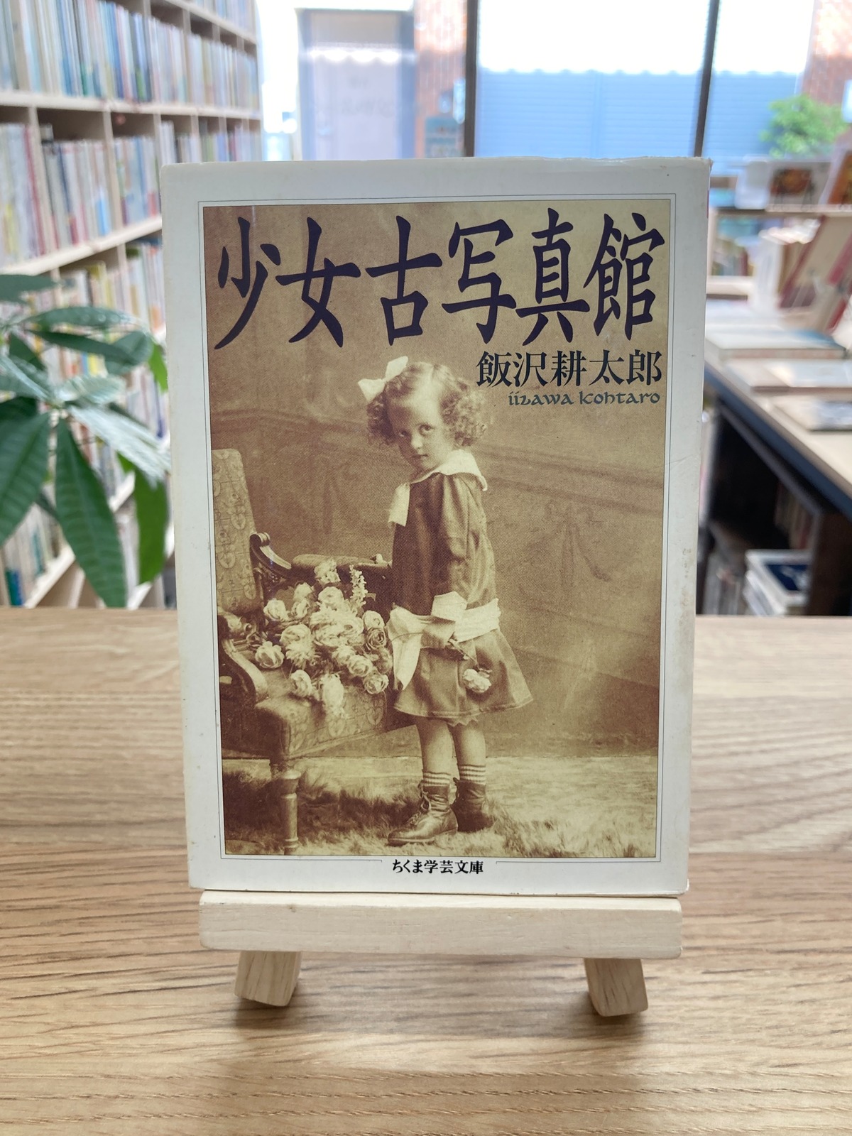少女古写真館/飯沢耕太郎 | 埼玉・南浦和の本屋 ゆとぴやぶっくす  