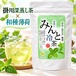 荻野商店 水出しミント緑茶 掛川深蒸し茶×北海道産和種薄荷 国産抹茶入り ティーバッグ 4g×10包