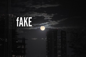 new CD 「fAKE」