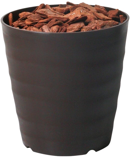 １３０ＣＭシェフレラアンガスティポット　その他　GLPS-1532BRL　4961823433962　造花（アーティフィシャルフラワー） > 観葉植物