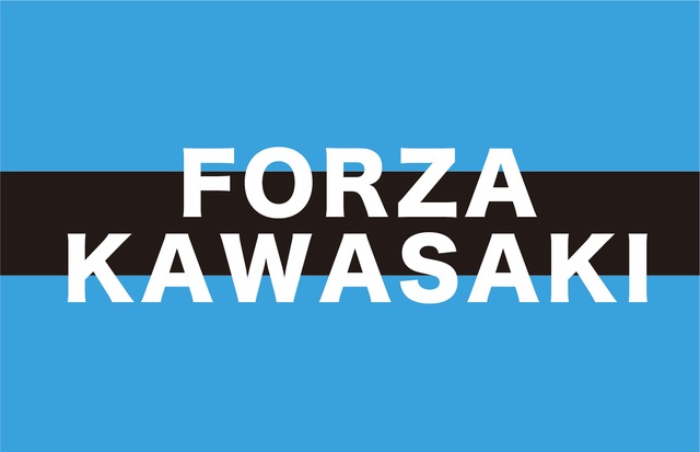 FORZA KAWASAKI_KAWASAKI
