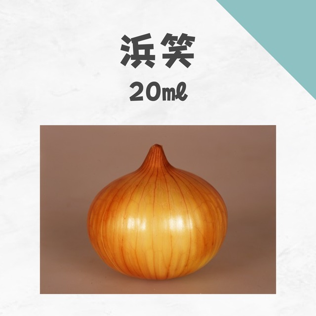 浜笑　タマネギ種子・20ml