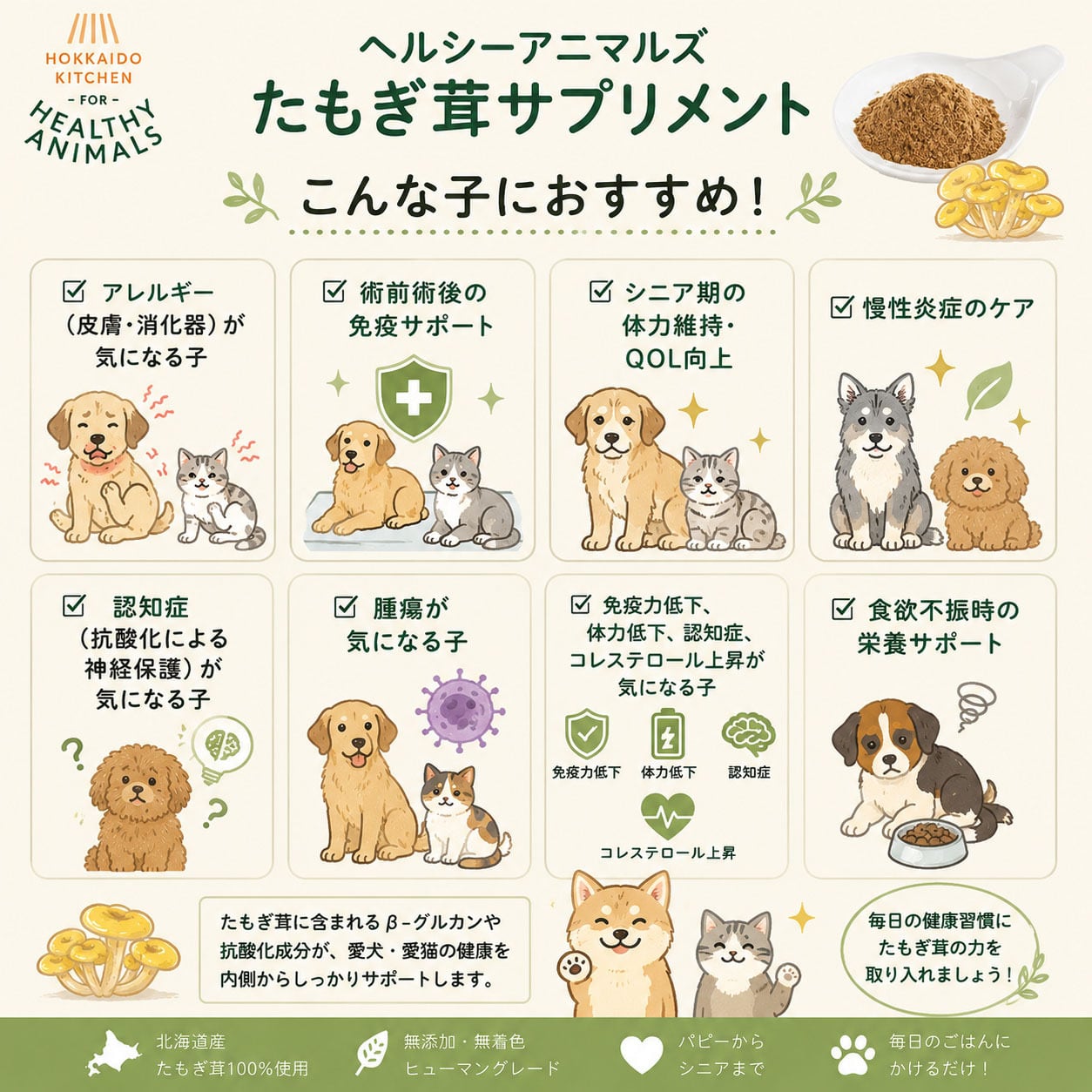犬・猫用】北海道産 たもぎ茸濃縮エキス粉末タイプ）100g｜β-グルカン