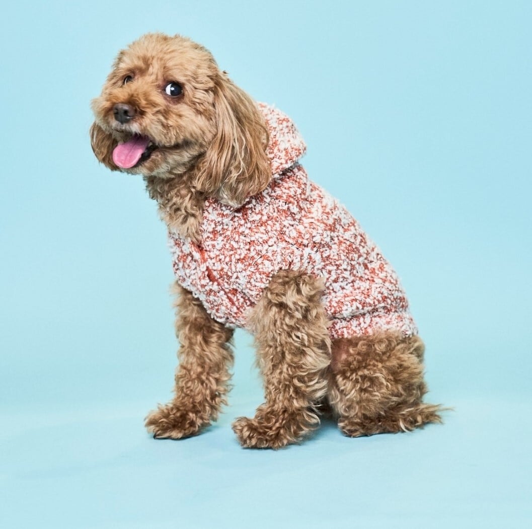 SNOW MELANGE KNIT HOODIE-ORANGE