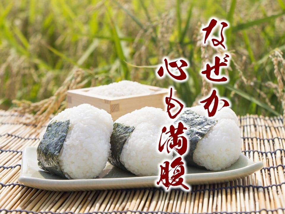 熊本県産お米（森のくまさん）10kg（5㎏×2袋） | すみれファーム