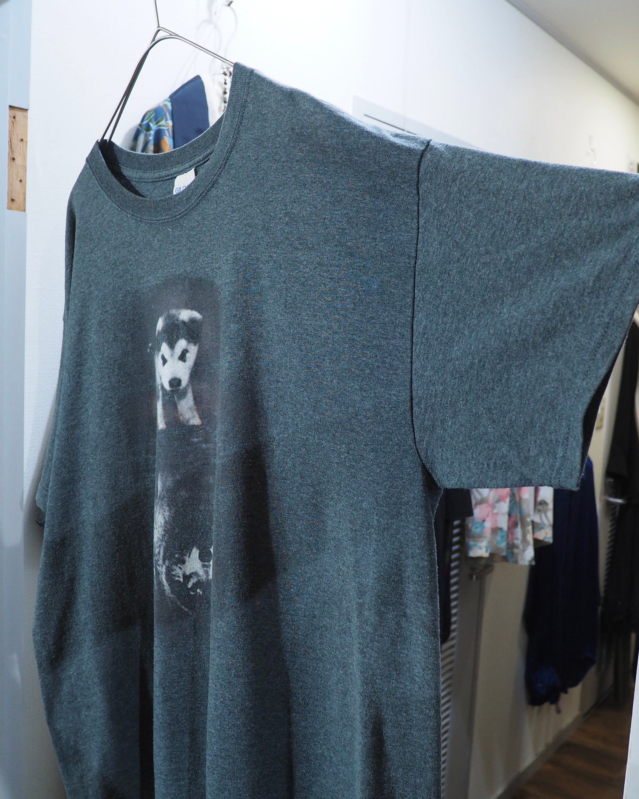 " 深淵 " Siberian husky Graphic printed SS Tee