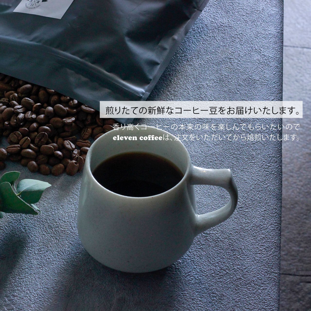シングル豆】 ケニア/マサイAA（アフリカ）～深煎り | eleven coffee