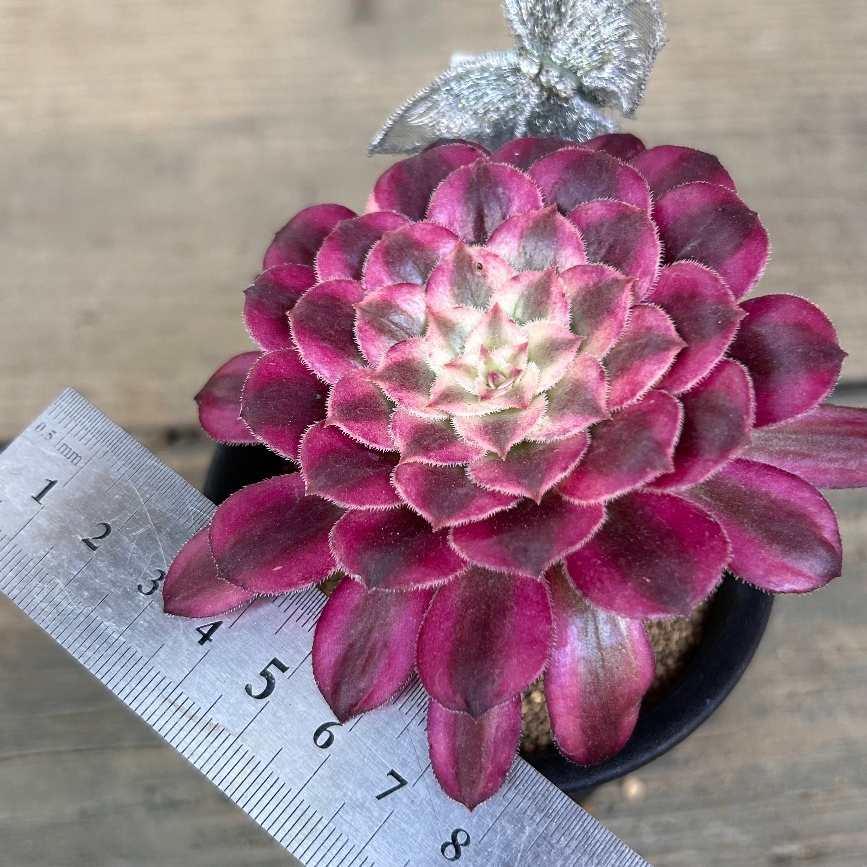 be57b6fd6eb8fc1daa819841faf28a