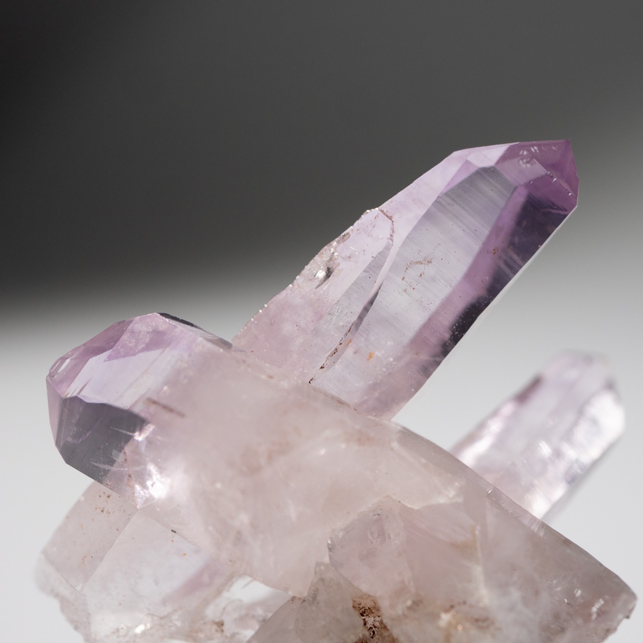 ベラクルス アメシスト アメジスト / 原石 標本