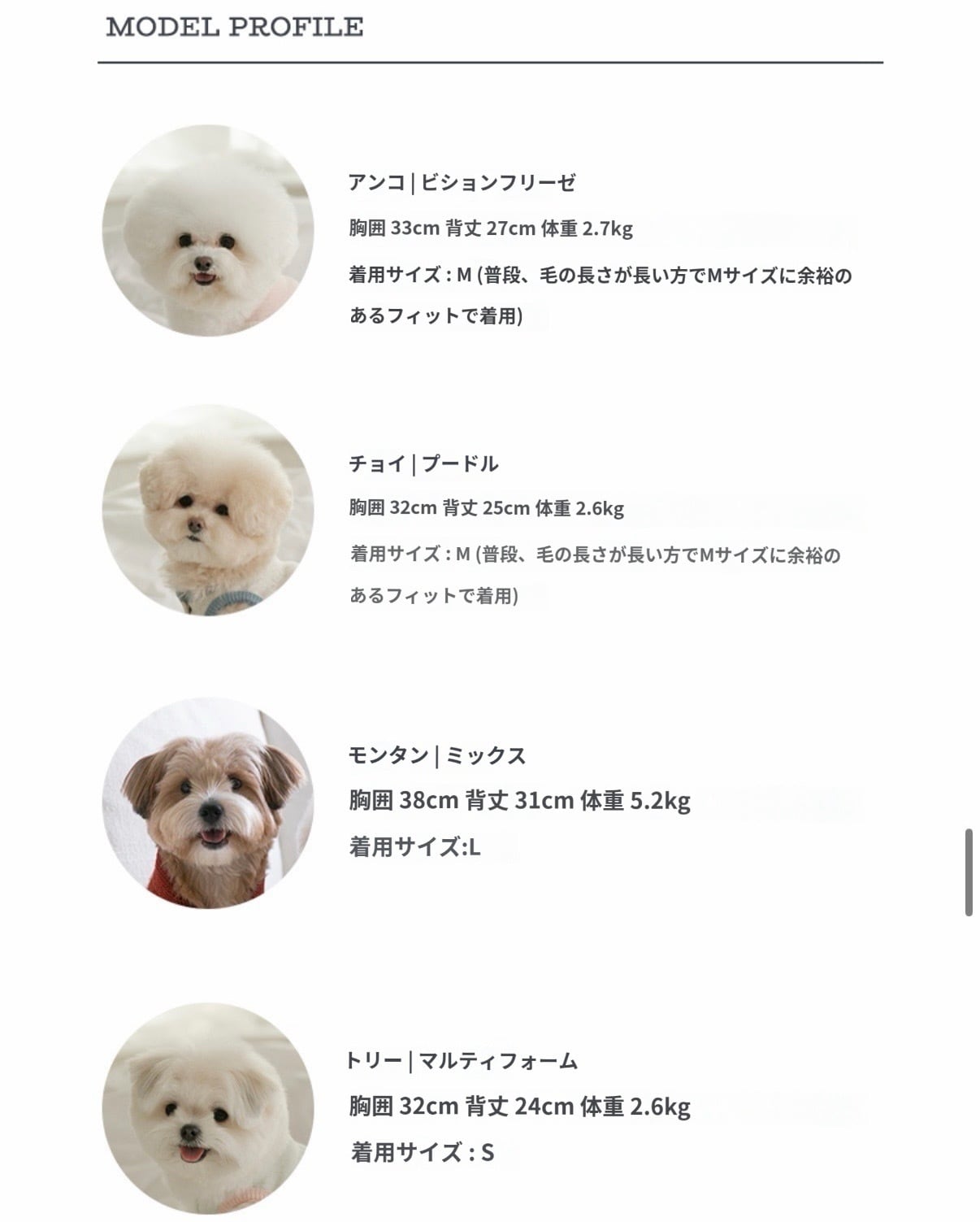 2XL即納【SSFW】maple cowichan | ropet
