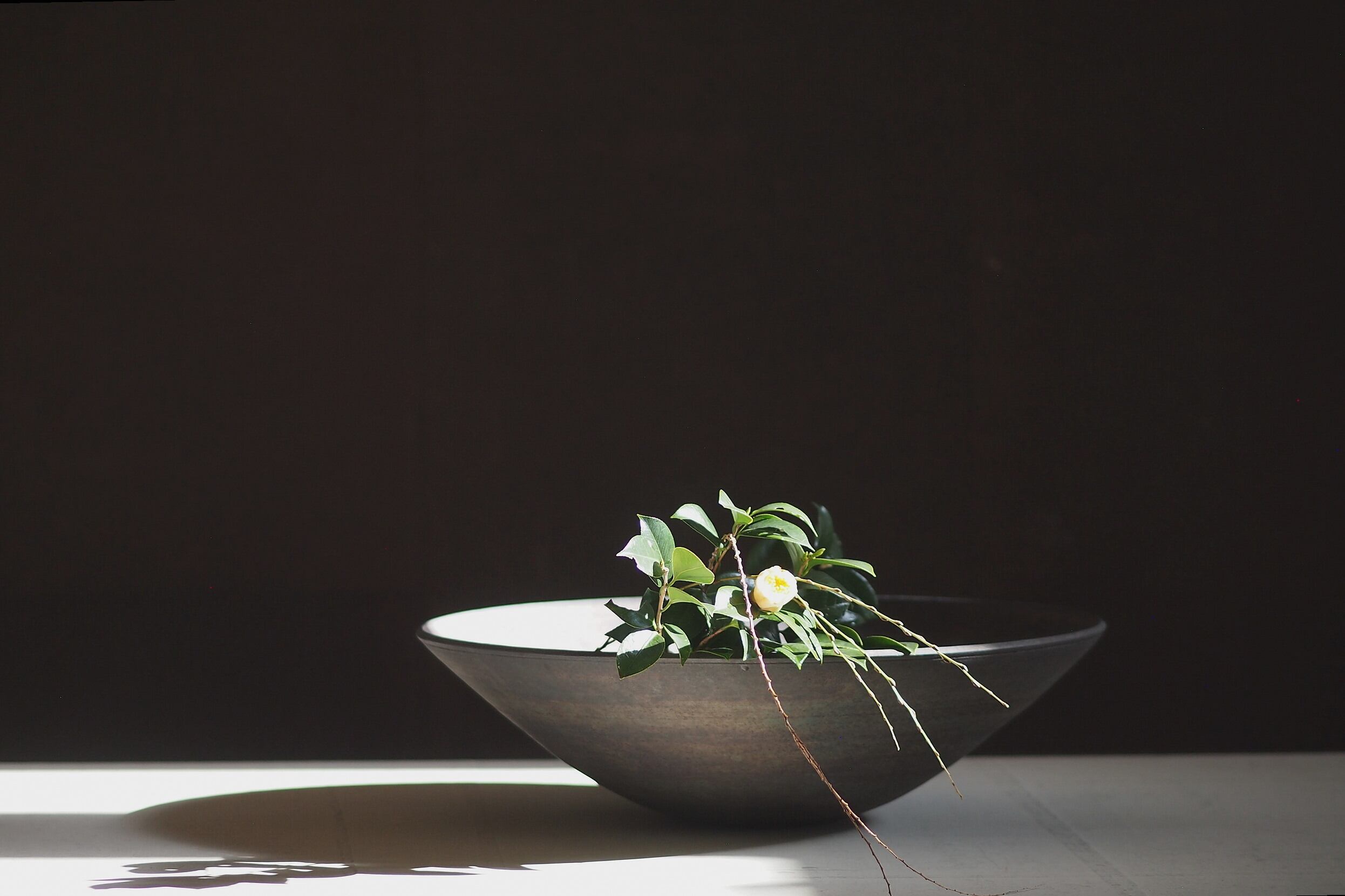 伊藤環 白泥貫入リムプレート 7寸 伊藤 環 展 2020