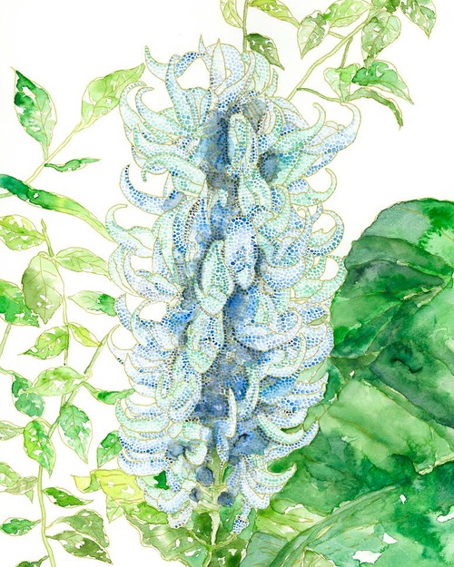 あなたという美しい存在から目を離さないで