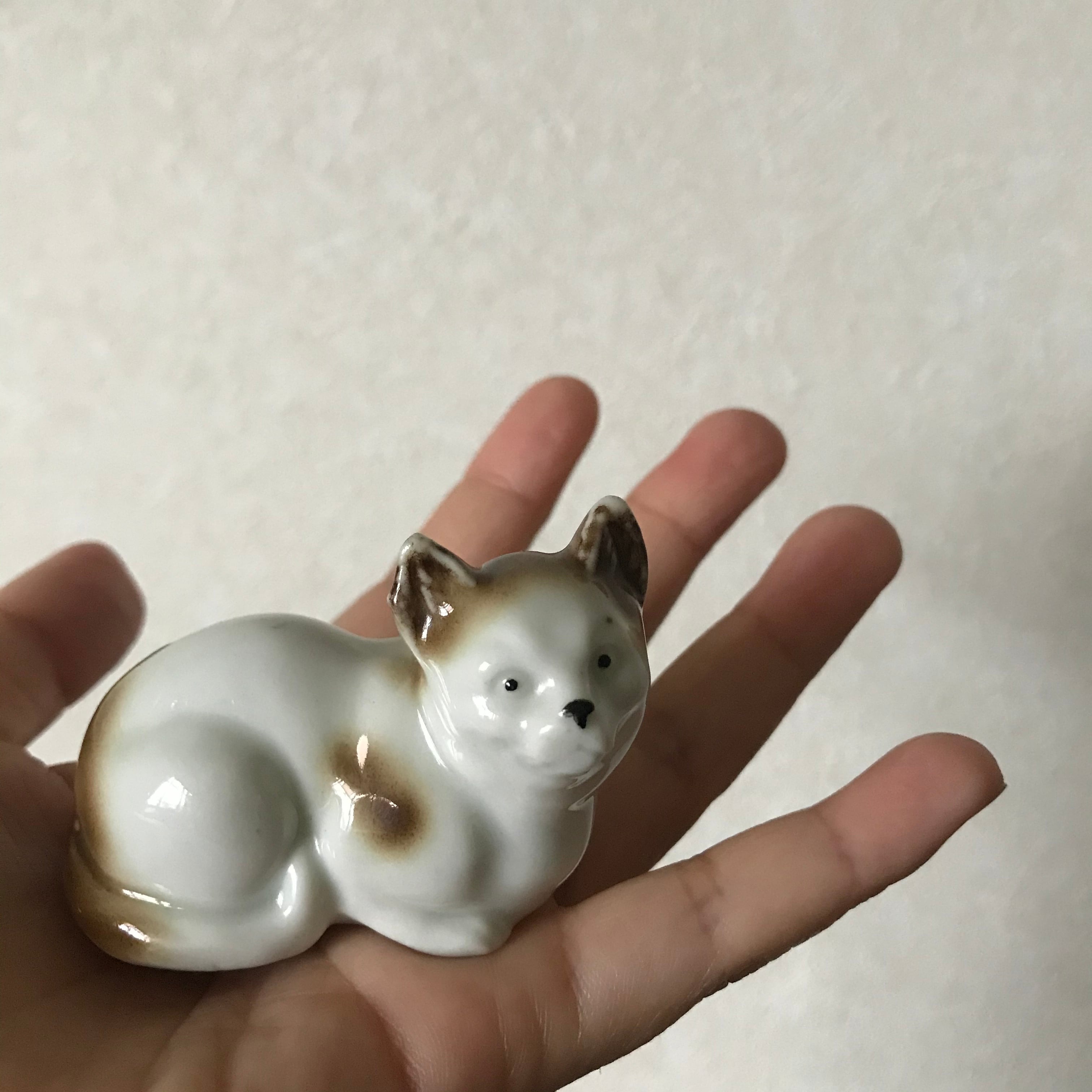 ネコなのか犬なのか