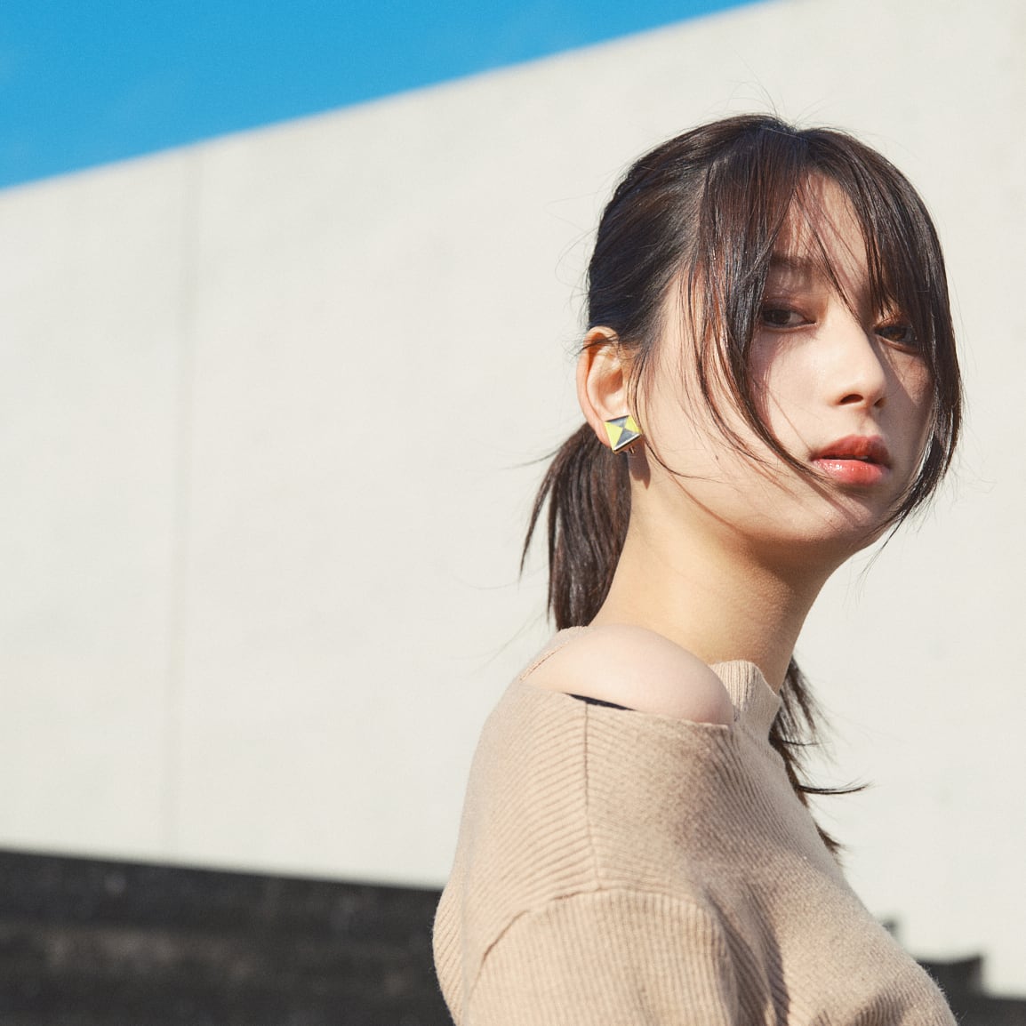 eb2】Lサイズ 染錦 薔薇 イヤリング／ピアス／ノンホールピアス | 器と