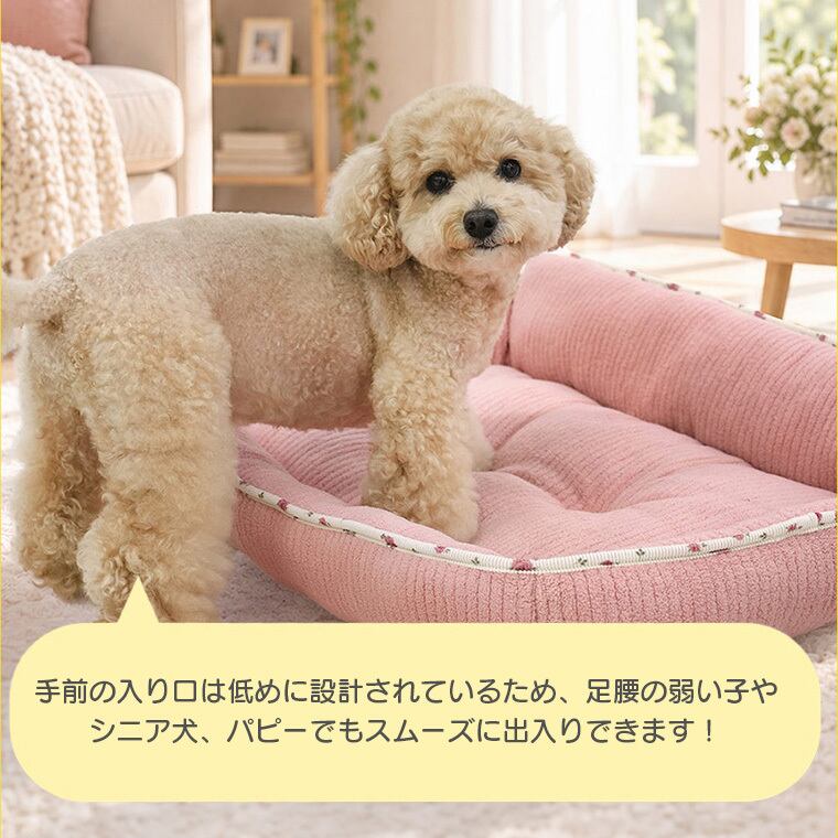 【予約販売10％OFF】jelly bear reversible bed Lsize 2color  / 犬用 ベッド リバーシブル 両面 ふんわり 冬 可愛い クッション ペットマット 猫用 韓国 ペット用品 小型犬 中型犬 ハウス 高級 犬 ペットベッド