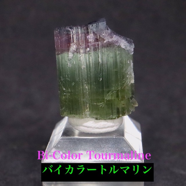 バイカラートルマリン 電気石 6.3g T745  鉱物　天然石　原石　パワーストーン